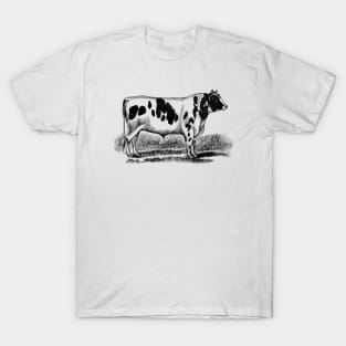 Holstein Bull Black and White Vintage Illustration T-Shirt